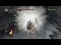 ps4 黑暗靈魂1 重製版 dark souls remastered 武器 黑騎士全系列武器 稀有武器之1 盾牌拿法 稀有武器之1