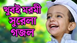 কোকিল কন্ঠে মায়াবী গজল । কন্ঠে এমডি নূর উদ্দিন । Bangla popular gojal.. New sad Gojol