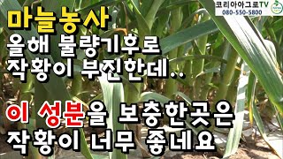 매년 반복되는 불량기후.. 이 성분을 보충해보세요.