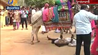 Sankranti Celebrations | Grandly Held at Shilparamam in Hyderabad