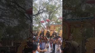 കൊടുങ്ങല്ലൂര്‍ താലപ്പൊലി 2025 #kodungallurtemple #thalappoli #shortfeed #shortvideo #kodungalluramma