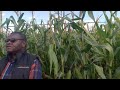 'Utilise irrigation schemes to mitigate drought'