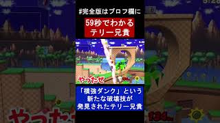 【スマブラsp】「横強ダンク」で破壊の限りを尽くすテリー兄貴 #shorts #スマブラsp #スマブラsp魅せプレイ #テリー #ゲーム実況 #ゆっくり実況