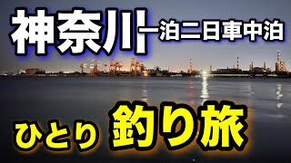 神奈川の釣りスポットでアジ＆太刀魚に挑む釣り旅！2024.12