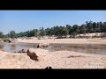 baghmunda falls ..picnic spot of ranchi jharkhand