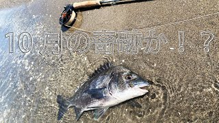 FlyFishing 2022年10月浜名湖クロダイ〜奇跡？のフラット〜