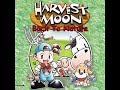 Harvestmoon tanding AYAM GESS!!