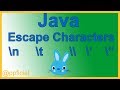 Java Escape Characters - Newline Backslash Single and Double Quote Escape Sequences - Java Tutorial