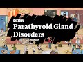 Understanding Parathyroid Gland Disorders & PTH Balance (Part 1) | Sketchy Medical | USMLE Step 1