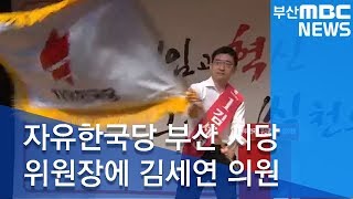 자유한국당 부산시당위원장에 김세연 의원20180905