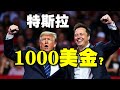 特斯拉两年内破1000美金？真相竟然是这样！JohnLu谈股 @johnlutalkstock