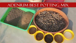 এডেনিয়াম গাছের জন্য আদর্শ মাটি প্রস্তুত | How to Make ideal Potting mix for Adenium