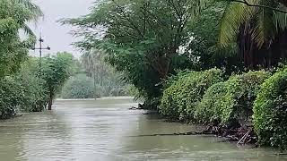 Rain scenes around udangudi #thoothukudi #thoothukudinews #thoothukudirains #rains #udangudi