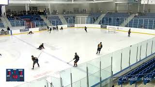 2023 OMHA Championships - U14 AAA Championship Game- Halton Hurricanes vs Barrie Colts