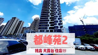 新莊 l 副都心 l 都峰苑NO.2 l 挑高露台使用戶 l 代書房仲 （已出售）