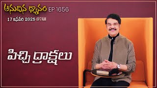 #LIVE #1656 (17 JAN 2025) అనుదిన ధ్యానం | పిచ్చి ద్రాక్షలు | DrJayapaul