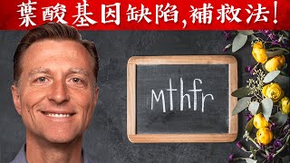 葉酸基因缺陷(MTHFR),破壞心臟,發炎,肝臟與神經傳導4大功能,自然療法,柏格醫生 Dr Berg