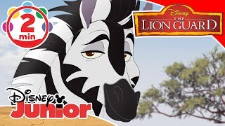 The Lion Guard | Song - The Zebra Mastermind 🎶 | Disney Kids