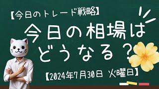 FX 今日の相場はどうなる？【2024年7月30日 火曜日のトレード戦略】月末は予算を立てて次月に備えよう！