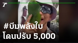พลังใบแผลงฤทธิ์ "บีม ศรัณยู"โดนปรับ 5,000  | 02-02-65 | ข่าวเที่ยงไทยรัฐ