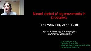 PANEL: The Neural Control of Locomotion, an Integrative Approach