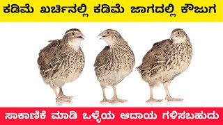 ಕೌಜಗ ಸಾಕಾಣಿಕೆ ಮಾಹಿತಿ | Profitable quail farming business tips in Kannada |