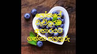 ලෝකයේ වැඩිපුරම ආහාරයට ගන්නා පලතුරු 🍌🍍🍓🥑 - Most eaten fruits in the world  🍓🍒 #fruit #wildlife