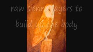 Blot  - A Barn Owl