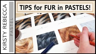 How to draw/paint FUR in PASTELS // Step by step tutorial!