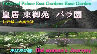 【皇居東御苑　バラ園】第一話  ＮＯ.1　Imperial Palace East Gardens Rose Garden　江戸城天守の前　大奥のあった辺り　いい香りに包まれる小さなバラ園　主に野生種