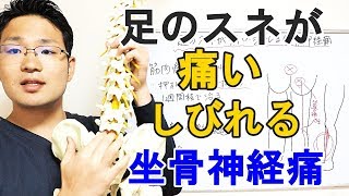 足のスネが痛い・しびれる坐骨神経痛　大阪の整体『西住之江整体院』