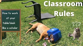 Professor Ginger and Axle and Table/Desk Rules - Classroom Rules When Working at your Table or Desk