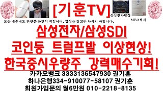 [주식투자]삼성전자/삼성SDI(반도체,2차전지-코인등 트럼프발 이상현상!한국증시우량주 강력매수기회!)