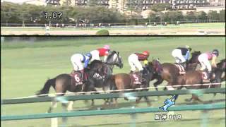 第60回神戸新聞杯(ＧⅡ)阪神2012年4回7日11R（9月23日）