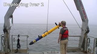 WHOI AUV Swarm Testing