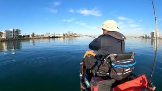 San Diego Bay Kayak Fishing November 10, 2024