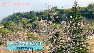 露營日誌 EP7｜台中新社｜第一次夜衝｜櫻花鳥森林