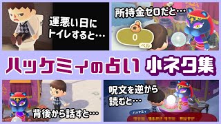 【あつ森】アプデ新機能「ハッケミィの占い」に隠れた細かすぎる小ネタ集！【あつまれ どうぶつの森】@レウンGameTV