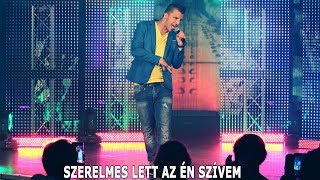 Yanni - Szerelmes lett az én szívem (Muzsika tv - Házibuli Attilával)