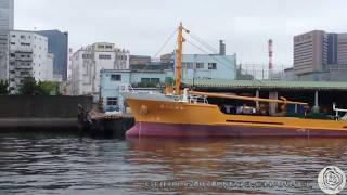 築地マーケット ー Tsukiji fish market from river view | GURU GURU MAKI channel