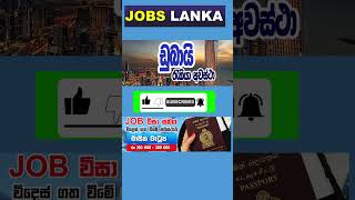 විදේශ රැකියා අවස්ථා🤷‍♂️✌️Overseas job opportunities #newjobs #fashion #newjobs#sorts #youtubeshorts