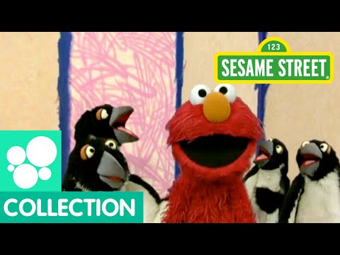 Sesame Street: Elmo's World: Penguins Sesame Street: Elmo's World: Penguins