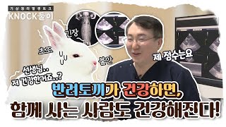 [KNOCK둘이] 반려토끼가 건강하면 함께 사는 사람도 건강해진다!