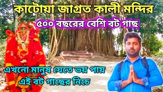 Katwa Kali mandir । গাছের নিচে যেতে এখনো মানুষ ভয় পায় । কাটোয়া কালী মন্দির ।Burdwan kali temple ।