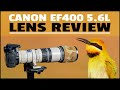 Canon 400 f/5.6L Lens Review - Affordable, Light and Super Sharp - Bird Photography Gear Review