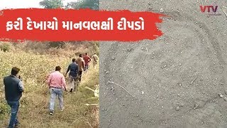 Amreli - બગસરામાં ફરી દીપડો દેખાયો, 4 કર્મીઓ 'હથિયાર વગર' ઘટનાસ્થળે પહોંચ્યા | VTV Gujarati