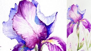 Pinkish Iris-Watercolor Painting -Tutorial Step by Step