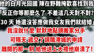 他的白月光回國 陳在野難掩歡喜找到我「反正你等那麼久了 不差這點時間對不對？」「30 天後蘇見月 還沒答應做我女友我們就結婚」我沒說什麼 默默地點頭搬家分手#总裁 #完结 #人生感悟