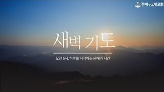 2024.10.19. 새벽기도회 - \