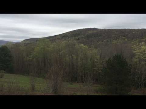 Spring in the Catskills Spring in the Catskills